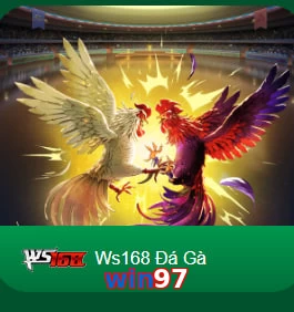 win97
